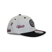 Gorra ALL Kids Parches Gris BLK TOM 24