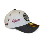 Gorra All 950 Parches TOM Gris 24