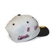 Gorra All 950 Parches TOM Gris 24