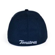 Gorra 3930 King Blue TC 25