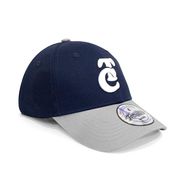 Gorra Snap All Style Blue Silver TC 24