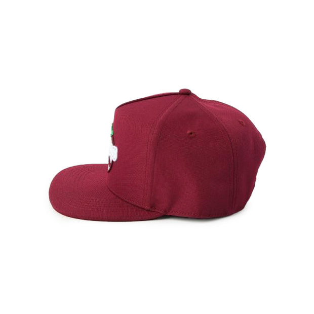 Gorra Snap AIB Guinda TOM Element 24