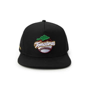 Gorra Snap AIB Negra TOM Element 24