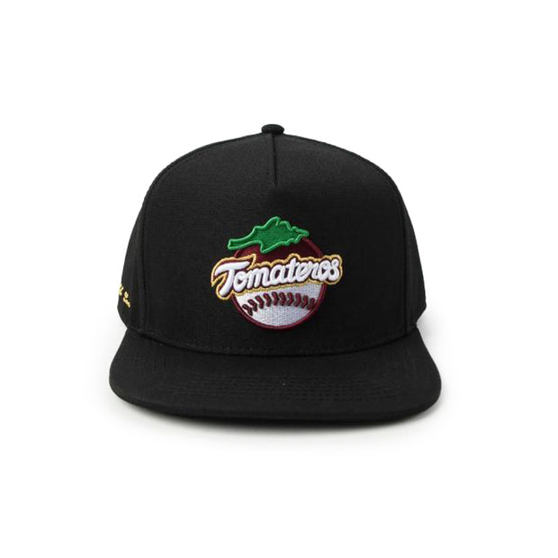 Gorra Snap AIB Negra TOM Element 24