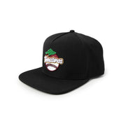 Gorra Snap AIB Negra TOM Element 24