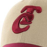 Gorra Two Tone SB 22